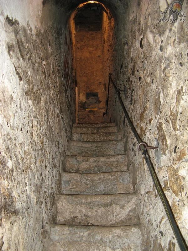 Castelul Bran poza